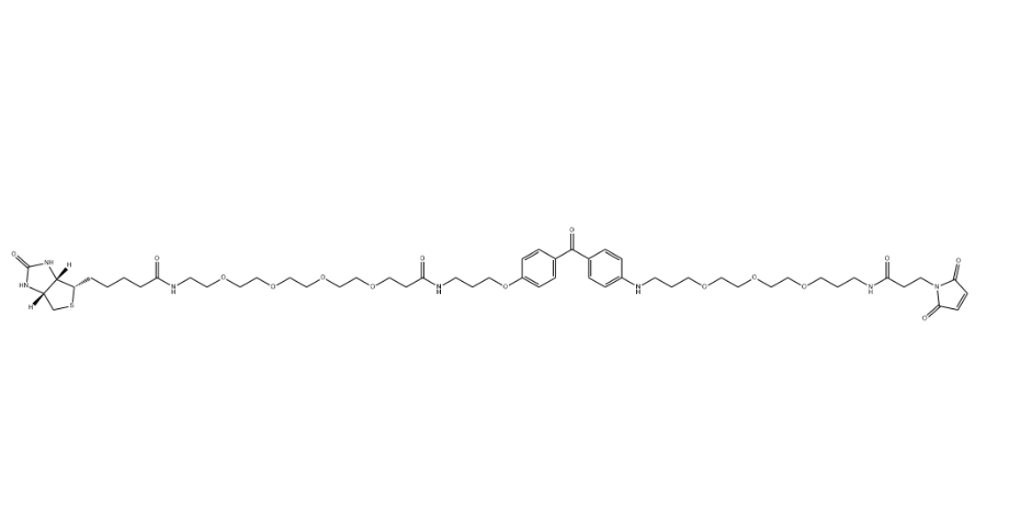 UV-Tracer Biotin Mal（1628028-96-5）