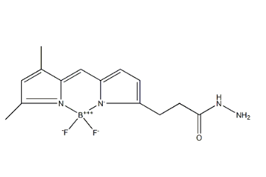 BDP FL hydrazide,178388-71-1