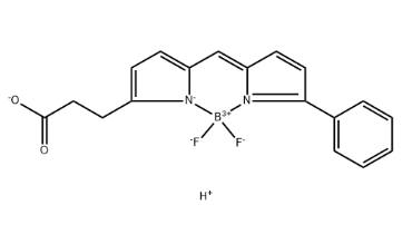 BODIPY R6G acid，174881-57-3