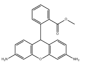 Dihydrorhodamine 123,109244-58-8