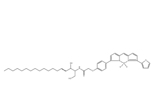 BODIPY TR Ceramide,571186-05-5