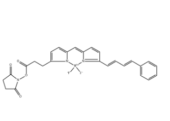 BDP 581/591 NHS ester,150152-70-8