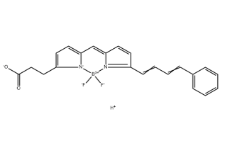 BODIPY 581/591 COOH，480999-04-0