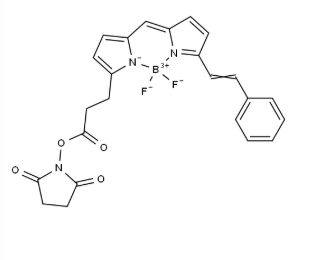 BODIPY 564/570 NHS ester,150173-90-3