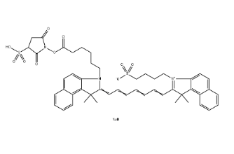 ICG-Sulfo-OSu sodium，190714-28-4