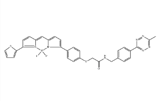 BDP TR methyltetrazine,2183473-54-1