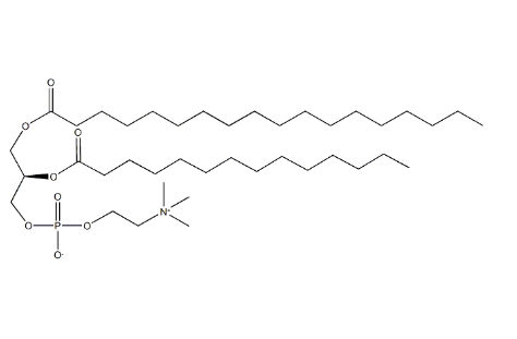 CAS：20664-02-2｜SMPC，1-硬脂酰-2-肉豆蔻酰基卵磷脂