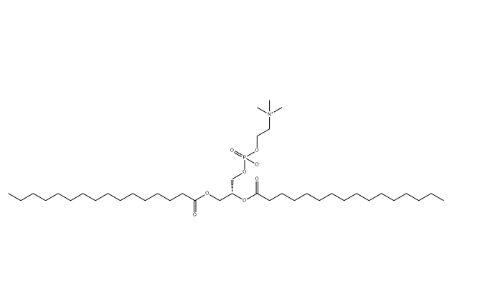 CAS：63-89-8｜DPPC，二棕榈酰磷脂酰胆碱