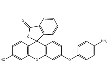 Aminophenyl fluorescein（APF），359010-70-1