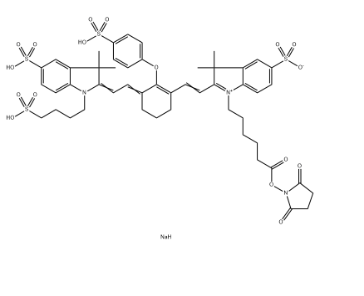 IRDye 800CW NHS Ester，CAS号：956579-01-4