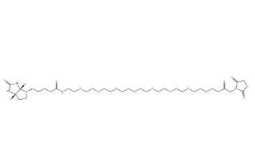 Biotin-PEG8-NHS ester,CAS:2143968-03-8