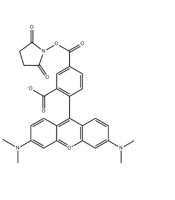 TAMRA Succinimidyl Ester，CAS号：150810-68-7
