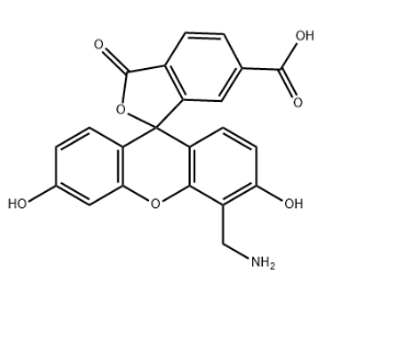 4＇-AMinoMethyl-5-FAM，CAS：326802-08-8