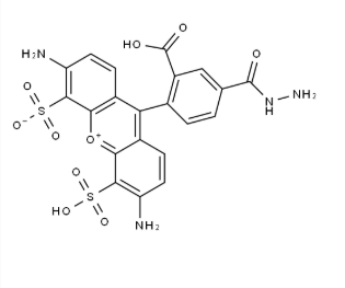 CAS：2500973-94-2，hydrazide-AF 488
