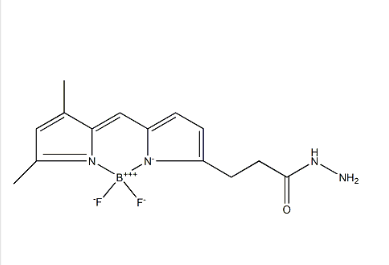 178388-71-1，BODIPY FL hydrazide，硼二吡咯-酰肼