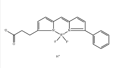174881-57-3，BODIPY R6G 羧酸