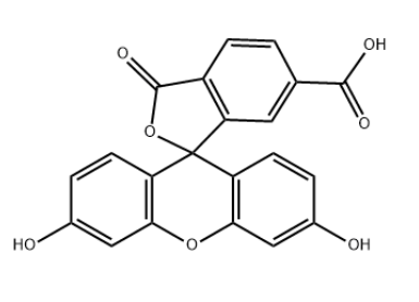 3301-79-9，6-fam，6-羧基荧光素