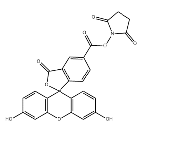 92557-80-7，5-fam NHS，5-羧基荧光素琥珀酰亚胺酯