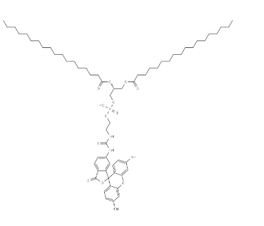 FITC-DSPE，2933358-06-4，磷脂荧光素