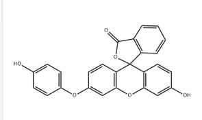 Hydroxyphenyl Fluorescein,359010-69-8,ROS 荧光探针染料