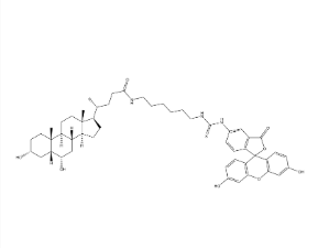 2374144-21-3，FITC-hyodeoxycholic acid
