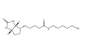 Biotin-C5-amine，115416-38-1，生物素-C5-氨基
