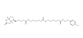 Biotin-XX Tyramide，851113-28-5