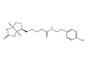 Biotin-aniline，769933-15-5，生物素苯胺