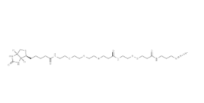 2866429-93-6，Disulfide-Biotin-Azide