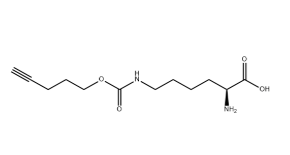 1428845-01-5，N-Pentyn1yloxycarbonyl]-L-lysine