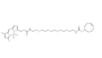 2093197-98-7，BODIPY FL-PEG5-Acid