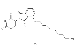 2983036-20-8，Thalidomide-O-PEG2-amine hydrochloride