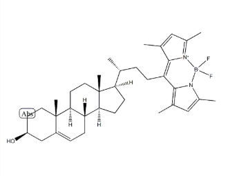 BODIPY-Cholesterol，878557-19-8