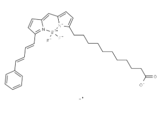 217075-36-0，BODIPY 581/591 C11