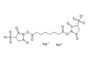 BS3 Cross linker(diso dium)，127634-19-9