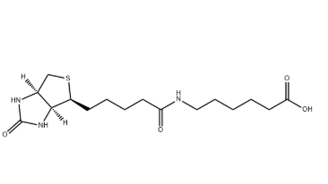 Biotin-LC，72040-64-3，N-生物素己酸