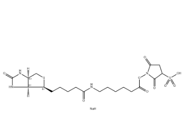 191671-46-2，Biotin-LC-Sulfo-NHS