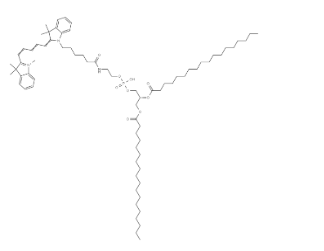 Cyanine5-DSPE,2260669-68-7