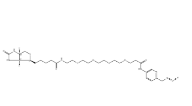 Cyanine5 Biotin，花青素Cy5-生物素