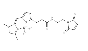 BDP&nbsp;FL&nbsp;maleimide，773859-49-7