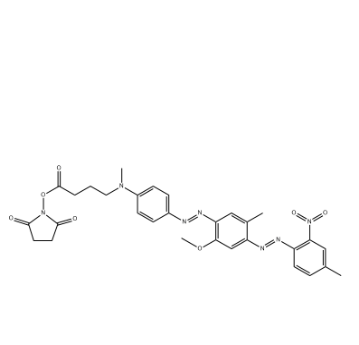 BHQ1 NHS ester，916753-61-2，BHQ1