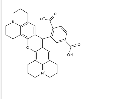6-Rhodamine X acid,2891791-11-8