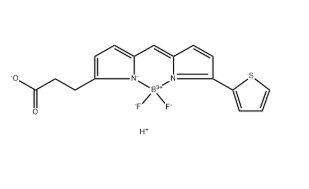 BODIPY 558/568 acid，150173-72-1