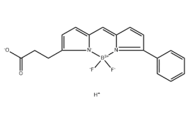 BODIPY R6G acid，174881-57-3