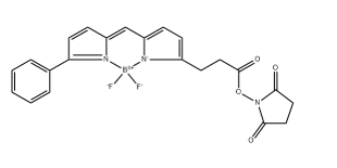 BODIPY R6G NHS，335193-70-9