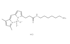 BODIPY FL amine，2183473-03-0