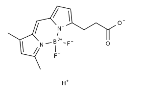 BODIPY FL carboxylic acid，165599-63-3