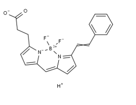BODIPY 564/570 COOH，150173-89-0