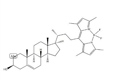 BODIPY cholesterol，878557-19-8