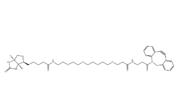 DBCO PEG4 Biotin，1255942-07-4